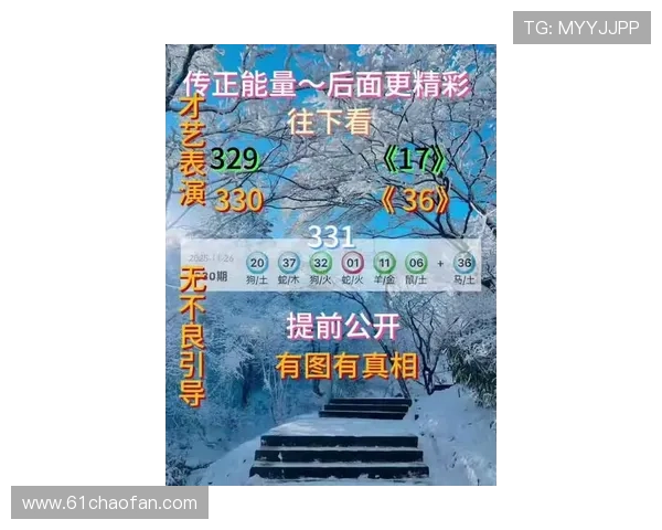 澳门新彩十点半开奖结果查询最新动态与分析